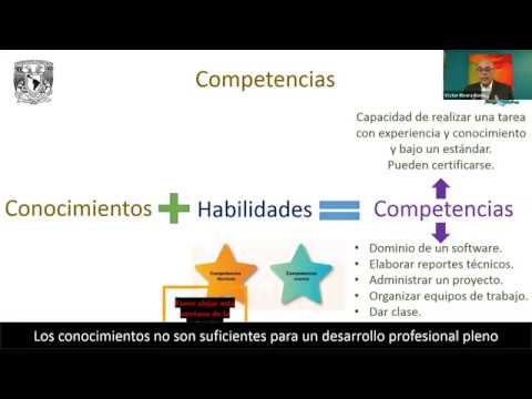 Habilidades Para Convertirse En Un Maestro Profesional