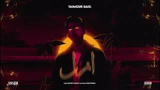 04  GOLD DIGGER   TAIMOUR BAIG ft  FARDEEN QURESHI   Prod  Raffey Anwar Official Audio