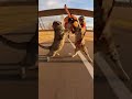 These Cat Pilots Are Actually Insane 😹✈️ #cats #comedy #trending #cat #animallife #animalfunny