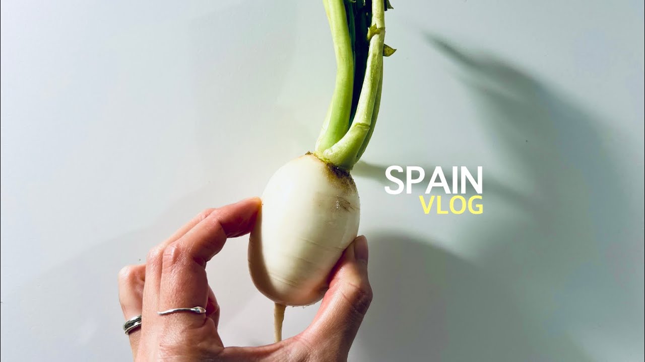 🇪🇸 Spain diario 스페인 말라가 사업비자.. 슬슬 준비해봐?