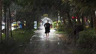 Walking in the Rain ASMR Along Old Railway Tracks Singapore : Rail Corridor : Raindrops on Umbrella