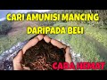 cara mencari cacing tanah dengan mudah buat umpan mancing daripada beli mahal