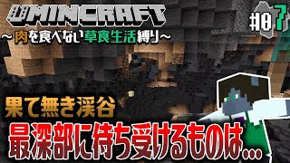 【Minecraft -草食縛り- #07】底の見えない渓谷の最深部を目指す！【EquuStream V#579】
