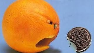 Part 4 - Fruits of Self-Righteousness