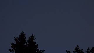 DSCN1782
