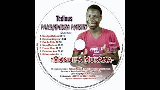 Tedious Muchapedza Matsito Jnr - Zvoona Meso ''MANDIPA MUKANA'' ALBUM 2021