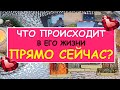 ЧТО ПРОИСХОДИТ В ЕГО ЖИЗНИ ПРЯМО СЕЙЧАС? Таро Онлайн Расклад Diamond Dream Tarot