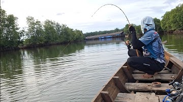 MANCING DI SPOT  KHUSUS IKAN MJ (MANGROVE JACK).#fishing #mancing 