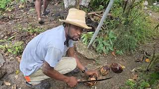 Jamaican Salt Mackerel Run Down With Roast Breadfruit In The Rain Cooking For Miss Little Work Men