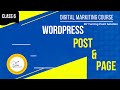 Post and Page in WordPress | WordPress full Course in Hindi/Urdu | WordPress Course for Begineer