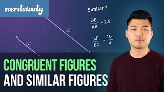 Congruent Figures and Similar Figures - Nerdstudy Profile