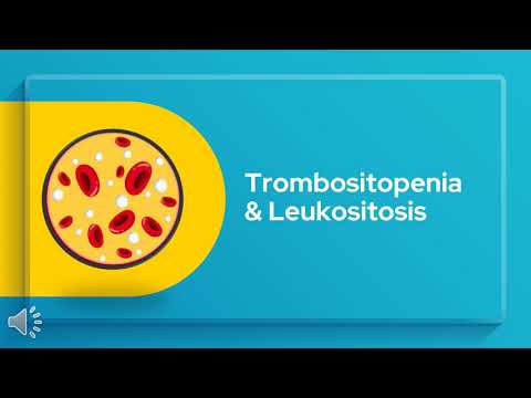 Video: Trombositopati - Penyebab, Gejala Dan Pengobatan