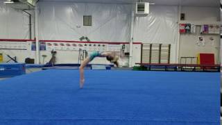 Standing Two Back Handsprings (Intermediate Tumbling)