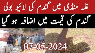 Galla Mandi Me Gandam Ki Live boli | Today Wheat Price