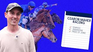 TEMPTED, JIMMYSSTAR, PRIDE OF JENNI | TAB EVEREST DAY PREVIEW