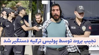 نجیب بروت توسط پولیس ترکیه دستگیر شد