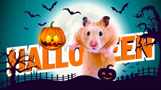 Хомяки в лабиринте с привидениями HALLOWEN GRAND ESCAPE  / МаусХаус