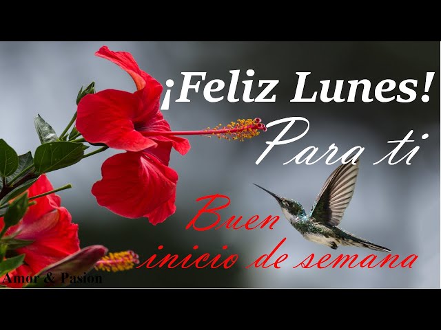 Feliz Inicio De Semana Con Rosas