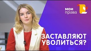 Заставляют уволиться. Что делать? / Юридический центр МОИ ПРАВА