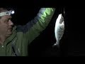 Ночная рыбалка на море