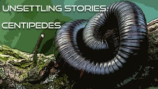 Unsettling Stories: Centipedes