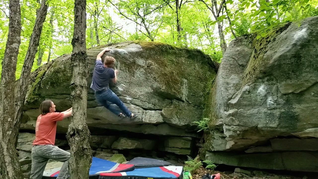 middle fern - Gaston cross