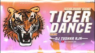 Tiger Dance 2020 Unreleased Track Remix Dj Tushar Rjn - Mp3 Out