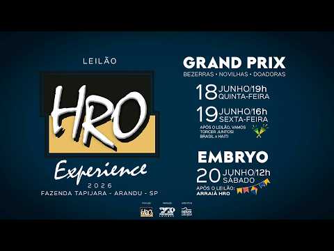 LOTE 34   PAR A6755