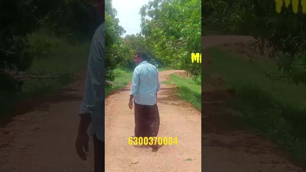 agriculture land for sale Krishna district||Udaya sri real estate