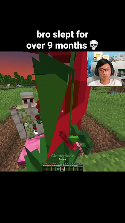 Minecraft Iron Golem Moment
