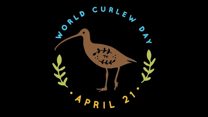 World Curlew Day - welcome and invitation from Mar...