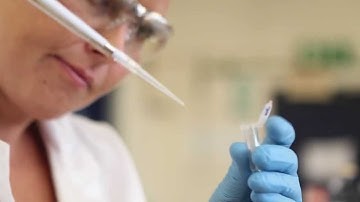 Meet a CSIR geneticist who specialises in stem cell research