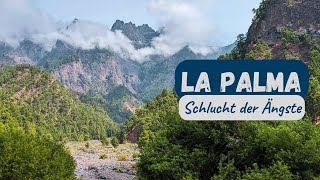 La Palma - Wandern im Nationalpark Caldera de Taburiente + Roque de los Muchachos | Reise Doku