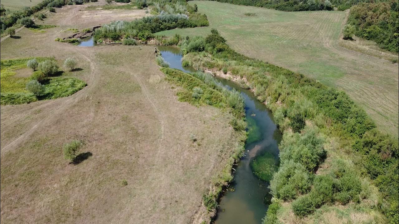 Rijeka Spreča, Ekonomija, Živinice, YouTube