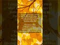 komorebi: sunlight filtered through the leaves of trees. #piano #composer #originalcomposition