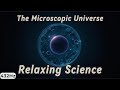 The Microscopic Universe | Fall Asleep to Science | 432Hz