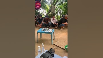 Bắt quả tang 10 đối tượng đá gà ăn tiền #tinnong #news #tintuc