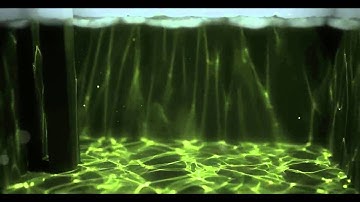 Underwater test with caustics