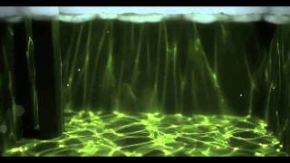 Underwater test with caustics