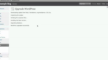 Wordpress - How to Upgrade To Wordpress 3.0