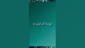 المنشاوي // يَا عِبَادِ لَا خَوْفٌ عَلَيْكُمُ الْيَوْمَ وَلَا أَنْتُمْ تَحْزَنُونَ(٦٨) سورة الزخرف