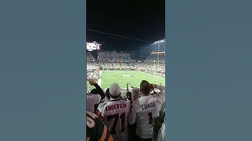 Thumbnail of Bengals VS Miami Dolphins Who Dey Chant