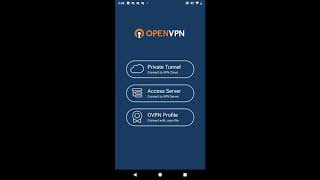 How to setup OpenVPN on Android! screenshot 4