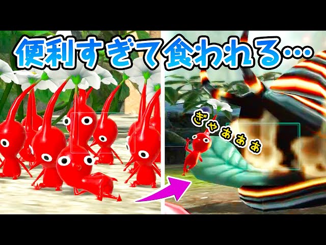 万能すぎて雑に扱われるピクミンがいるらしい…『赤ピクミンの生態解説
