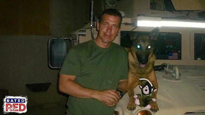 The Realities of Being a K9 Trainer with Scott Rei...