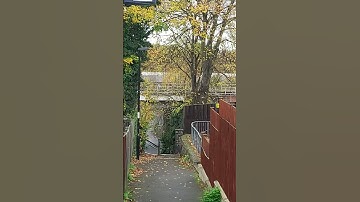 Saw a passing diesel class 66 loco 13.11.2020.