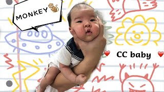 Monkey CC Baby：CC Baby favorite holding ----MONKEY STYLE