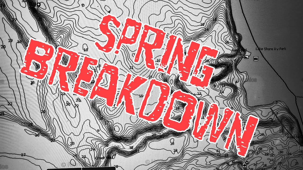 How to Find BASS in the Spring YouTube