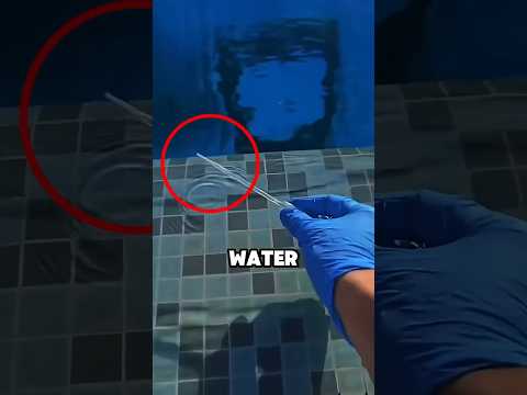 what happens if you put pool water under a microscope 🔬 #viral by Some Logics