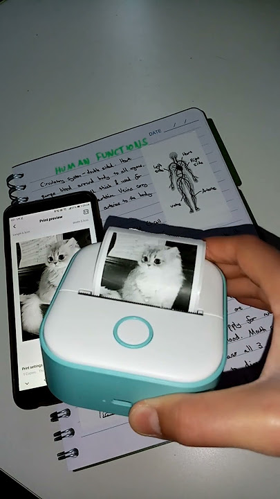 What can I print? #tiktok #tiktokmademebuyit #viral #trending #fypシ #printer #thermal #fyp